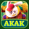 Logo da AKAK